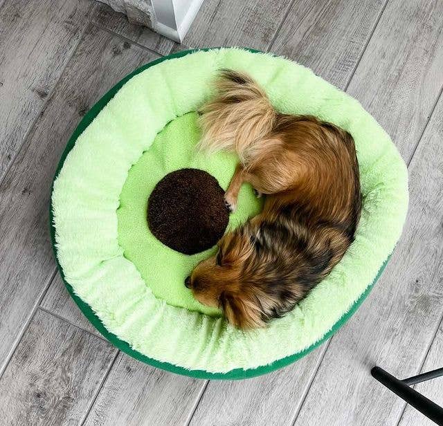 TONBO – cama - Gato e cão por atacado – Cama para animais de estimação com abacate1
