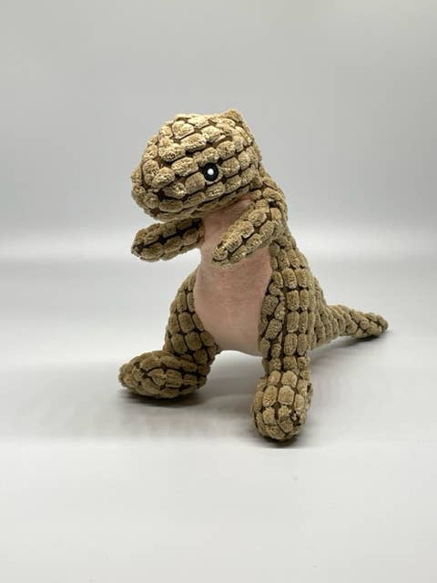 Toys N Treats Box – wholesale Pet plush toy – Dog – Dino the Dinosaur Plush Pet Toy for Dogs7