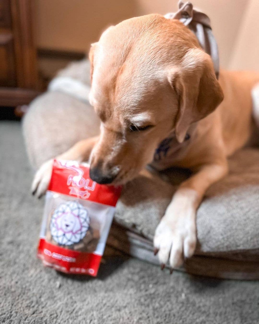 HOLI - Wholesale Pet Treats - Dog - Beef Liver Dog Treats - All Natural - Freeze Dried3