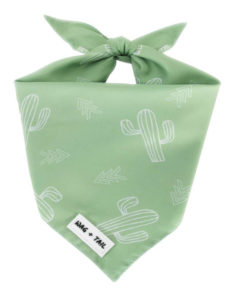 Reversible Dog Bandana - Prickly Paws for wholesale by Wag + Tail