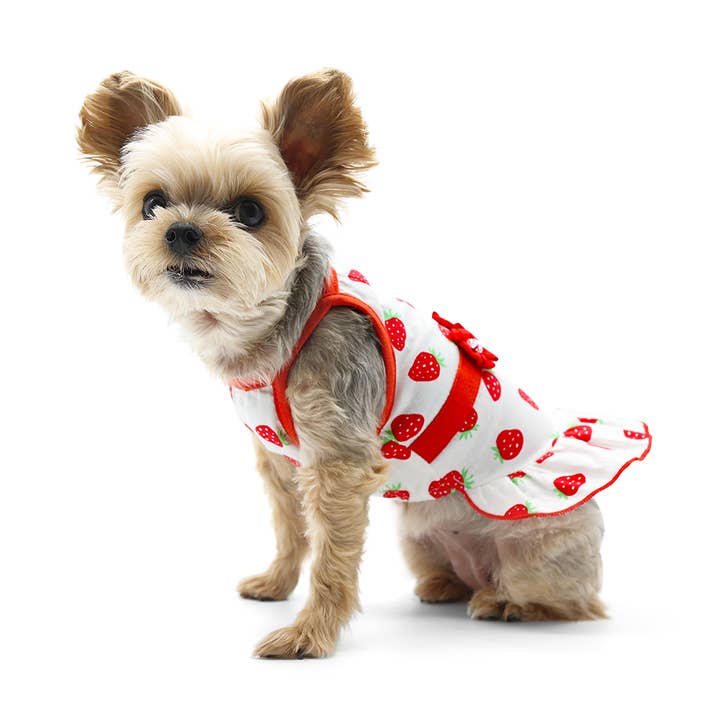Dogo Pet - Wholesale Pet Dress - Dog - Strawberry Dress