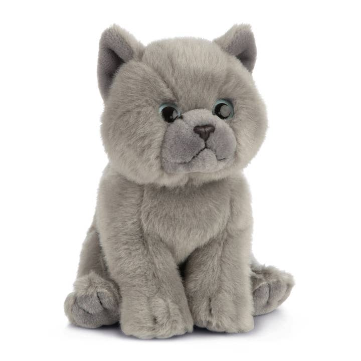 Keycraft - Wholesale Stuffed/Plush Toy - Kids & Baby - Living Nature British Grey Shorthair Kitten Stuffed Toy2