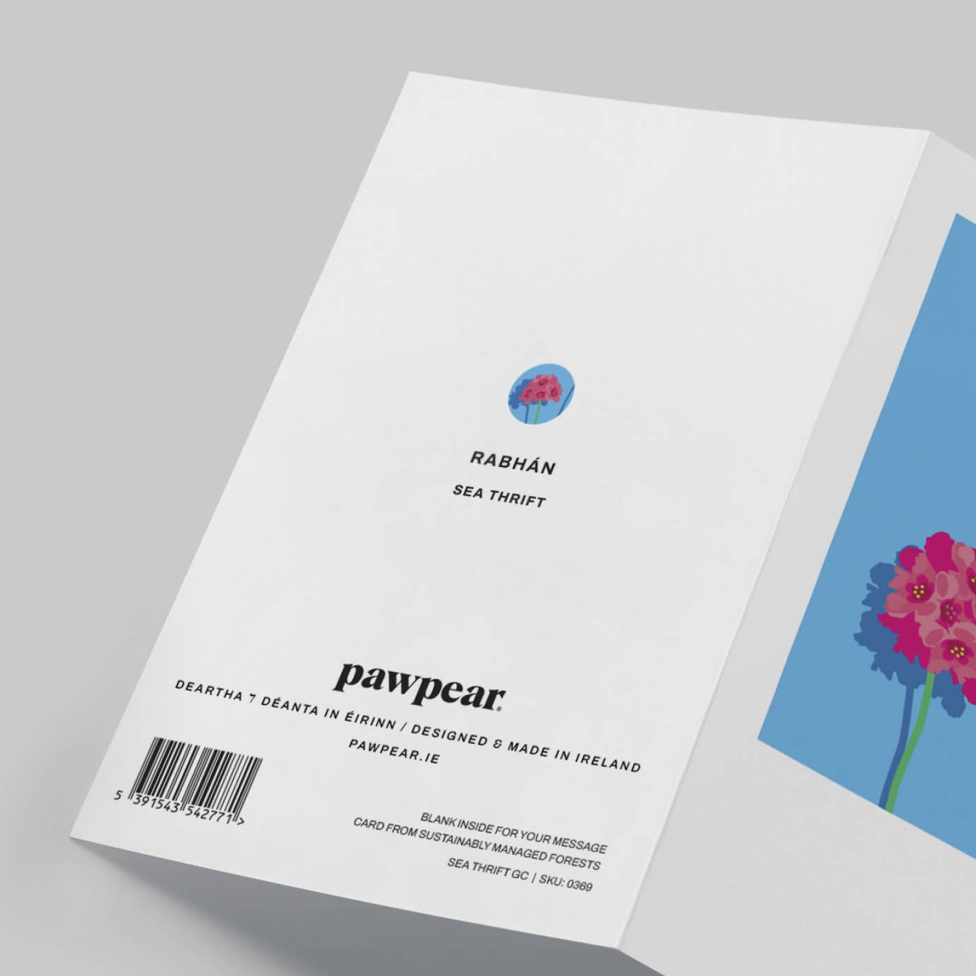 Pawpear - Wholesale Everyday Greeting Card - Sea Thrift Greeting Card2