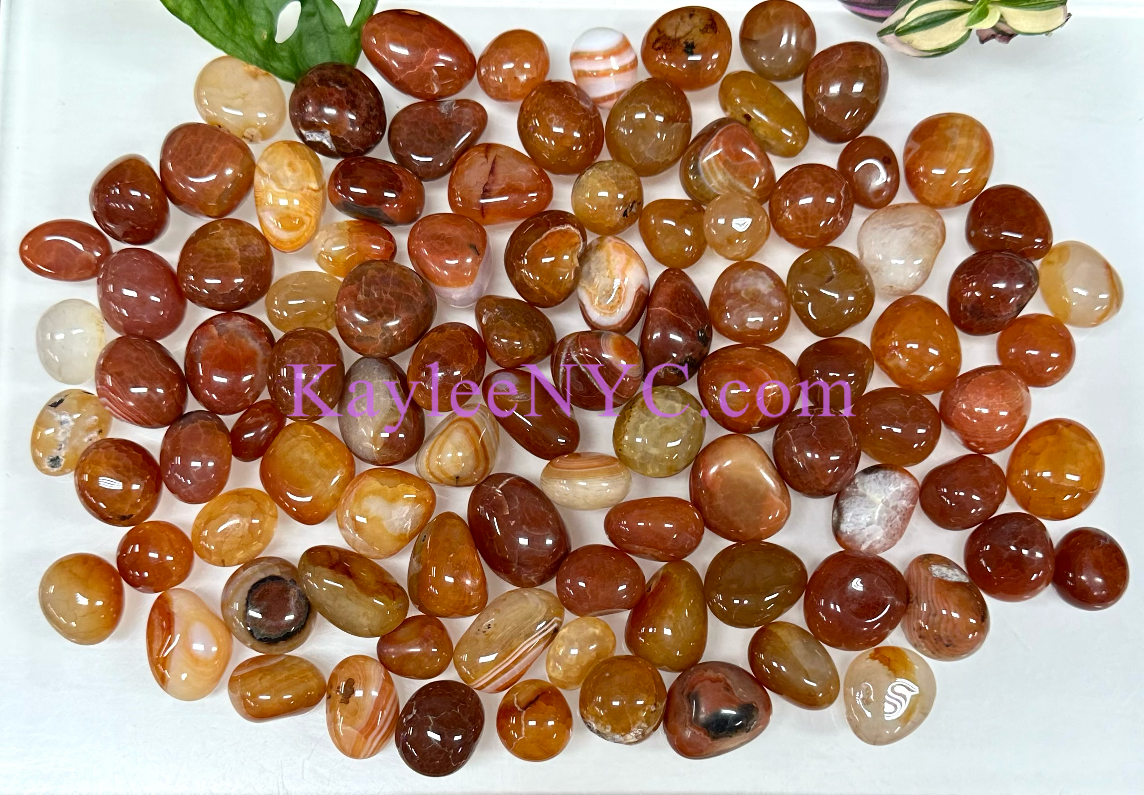 KayleeNYC - Wholesale Spiritual Stone/Crystal - 2 Lbs Natural Carnelian Tumble Healing Energy0