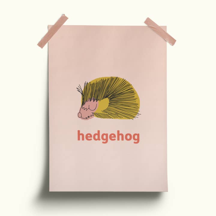 'Hugh the Hedgehog' print for wholesale by Seb & Charlie Design + Illustration