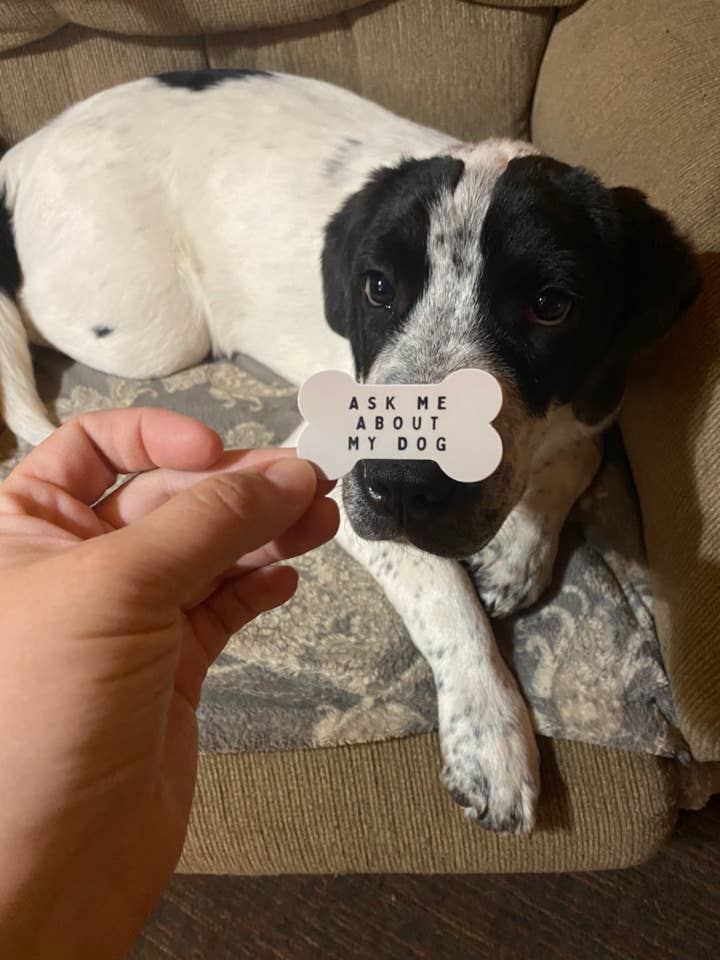 Ask me about my dog sticker: UPDATED: 3" for wholesale by Carolina Pine Prints