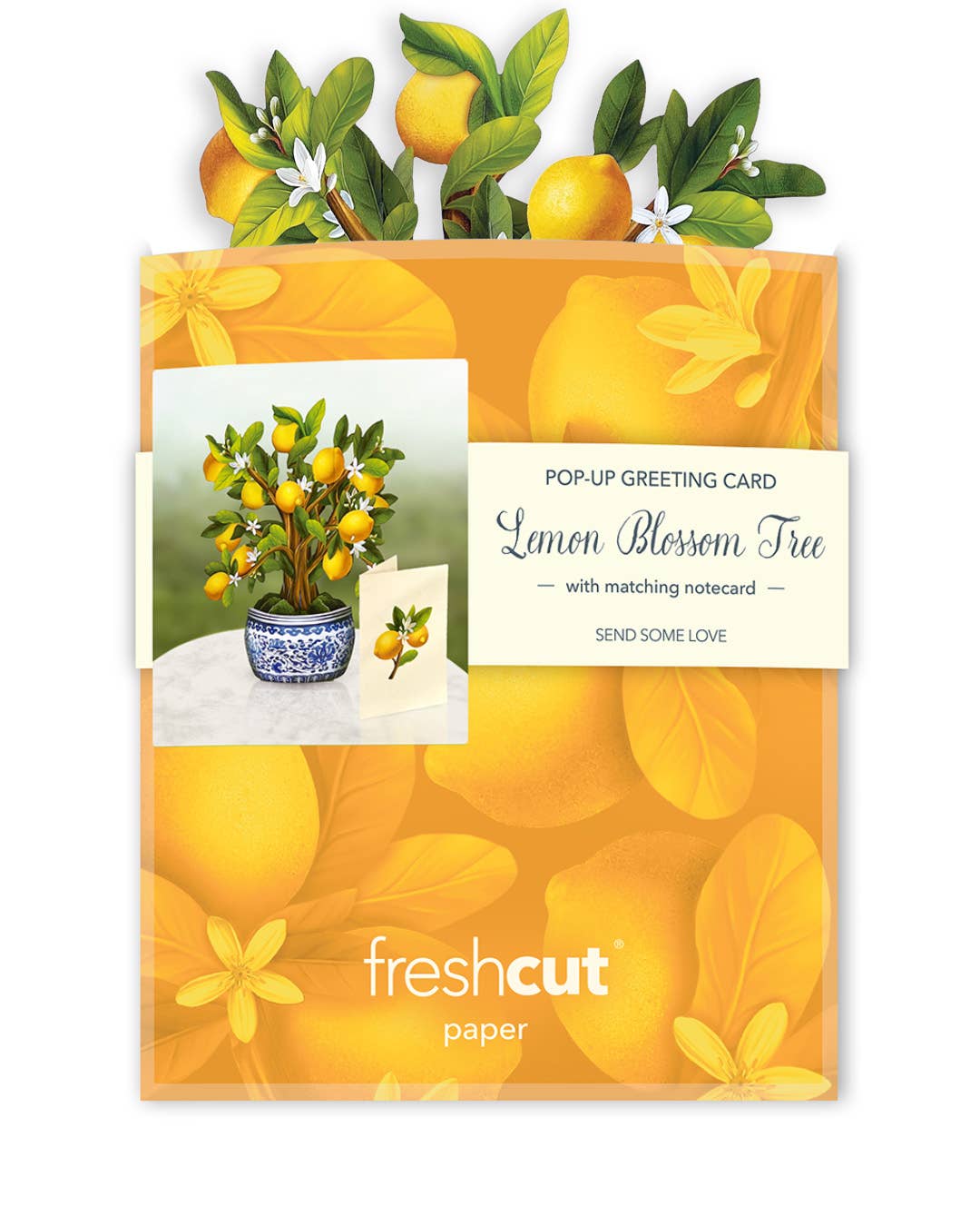 FreshCut Paper LLC - Wholesale Everyday Greeting Card - Mini Lemon Blossom Tree  (10 Pop-up Greeting Cards)5