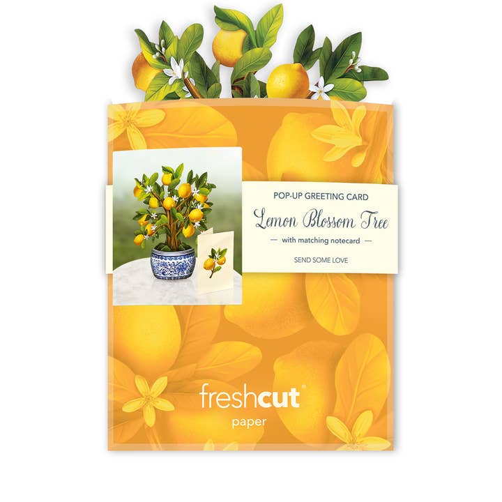 FreshCut Paper LLC - Wholesale Everyday Greeting Card - Mini Lemon Blossom Tree (10 Pop-up Greeting Cards)5