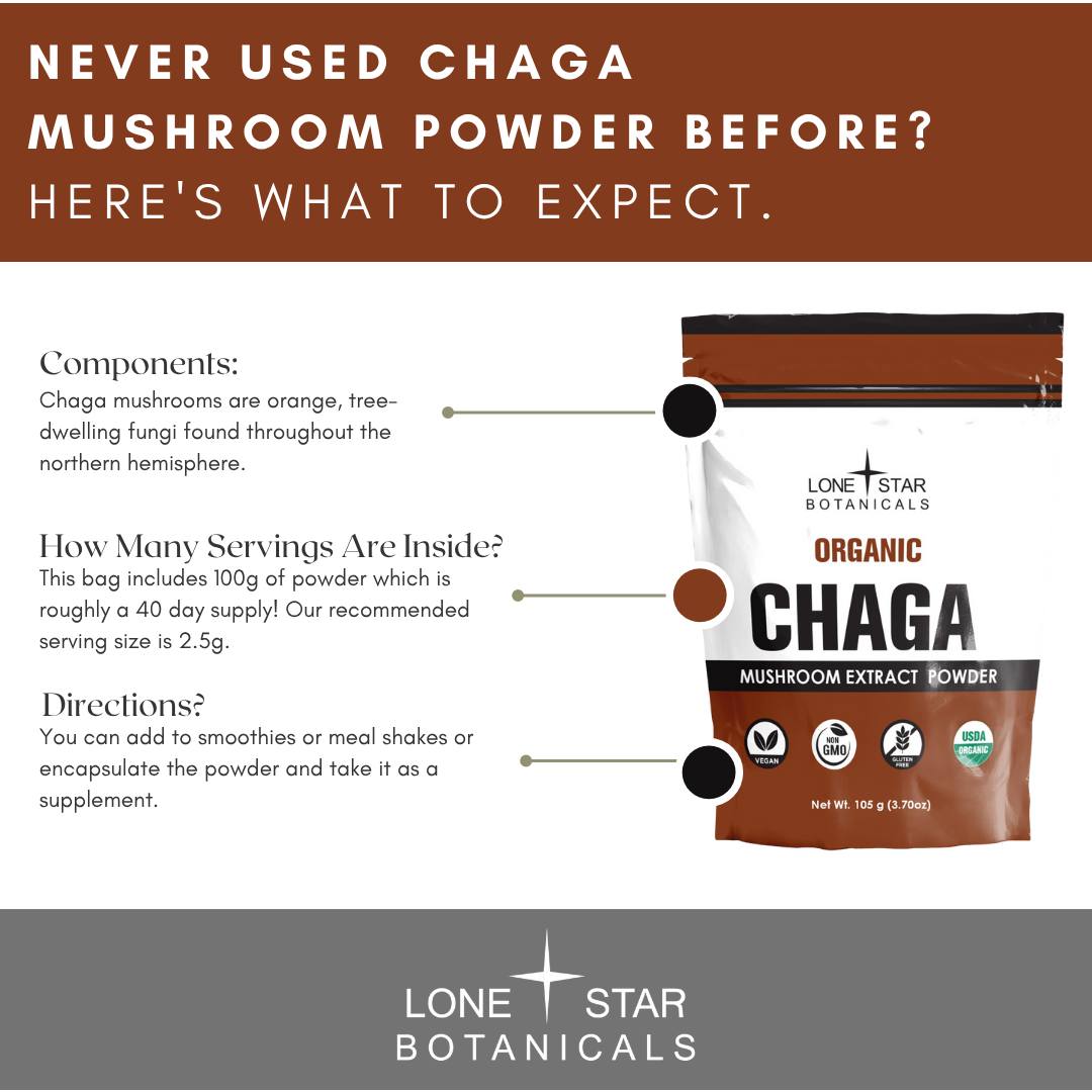 Lone Star Botanicals - Vente Poudres protéinées/superaliments - Poudre d'extrait de champignon Chaga biologique -- 100 g4