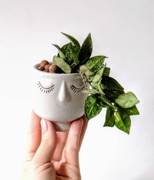 ForgottenProperty - Wholesale Plant Pot - Anne Concrete Planter Plant Pot Candle Vessel