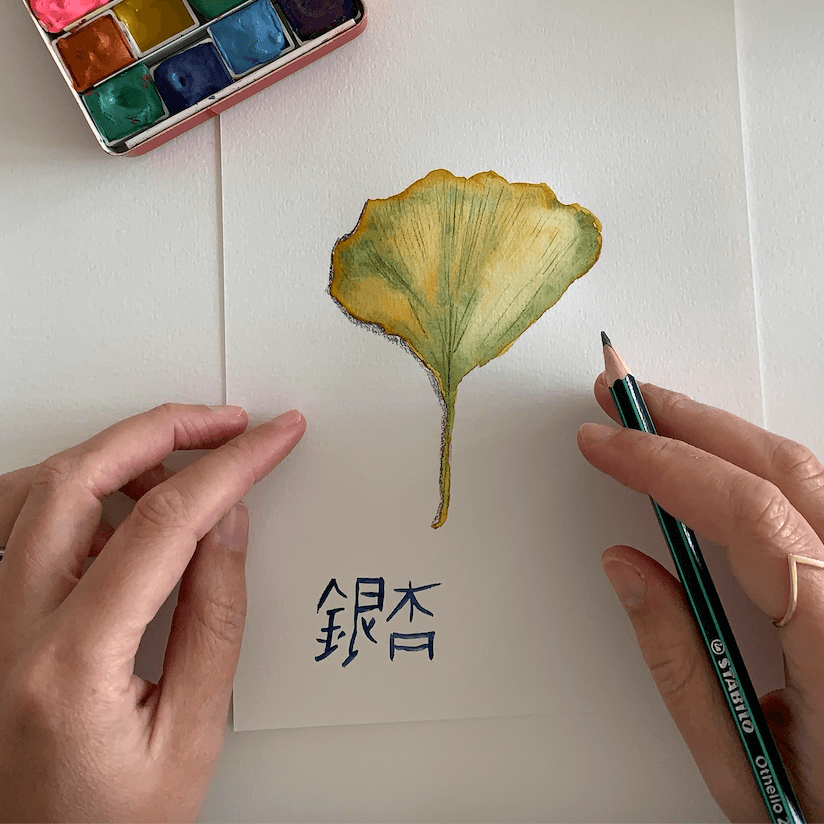 LA NOUVELLE VAGUE COULEURS - Wholesale Watercolor Paint - Handmade watercolor - Matcha green7