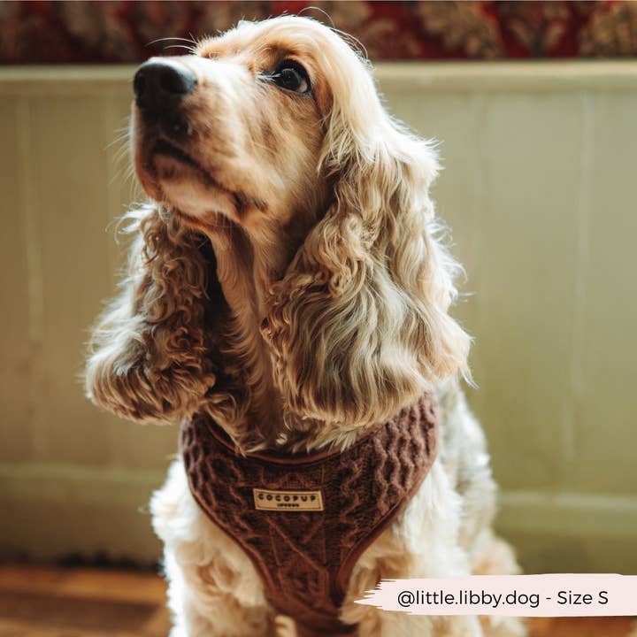 Cocopup London - Vente Harnais – chien - Harnais à col réglable en tricot torsadé couleur chocolat - Hot Coco1