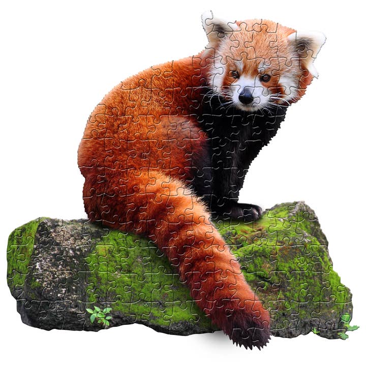 PUZZLE DISPLAY - Lil Red Panda 100pc for wholesale by Madd Capp Games & Puzzles