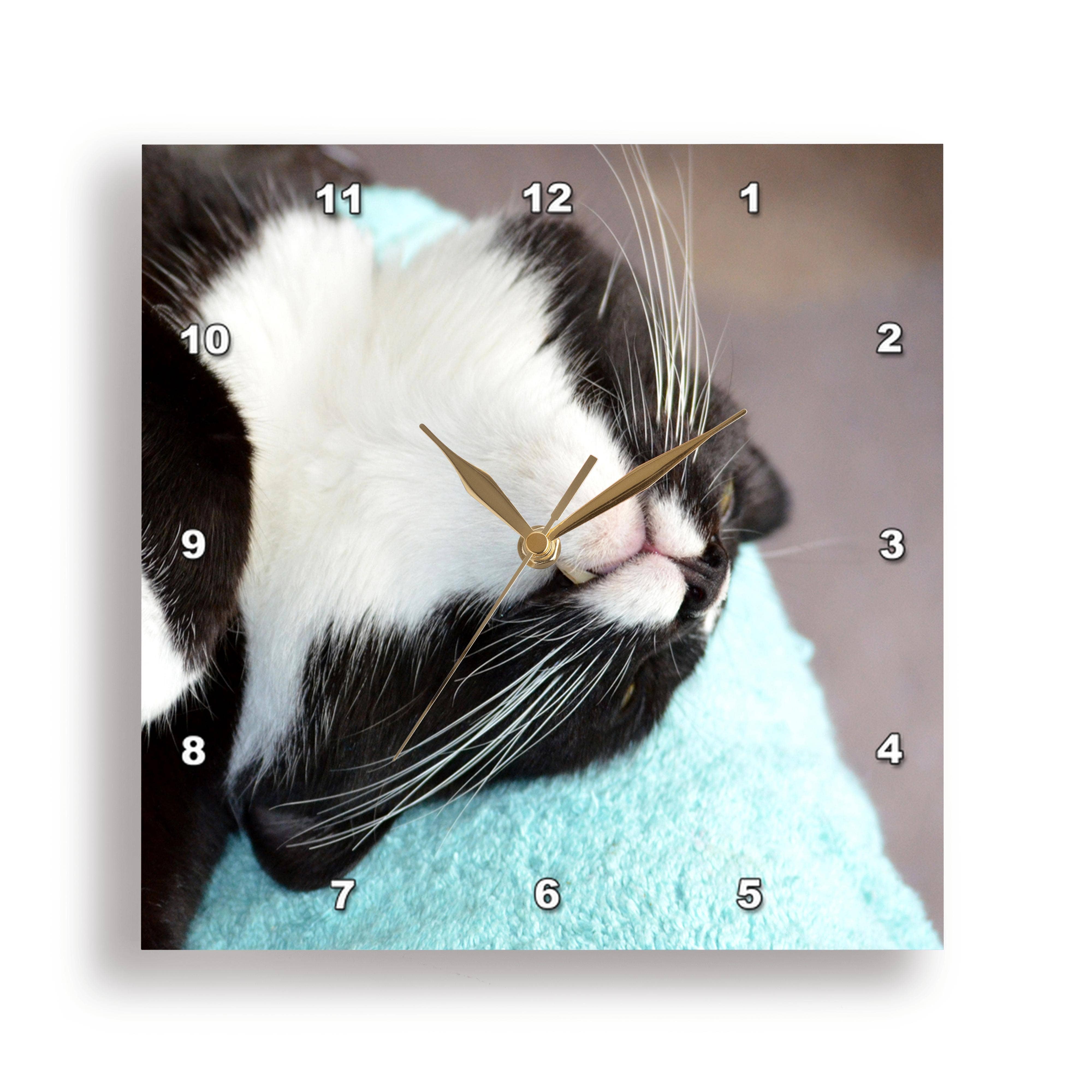 3dRose – wholesale Väggklocka – 3dRose, sovande svartvit katt, väggklocka6