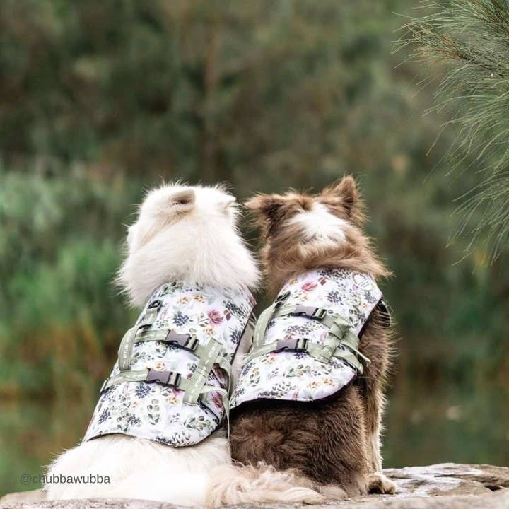 Stylish Hound – Großhandel Haustierjacke – Hund – Evergreen Schwimmweste für Hunde9