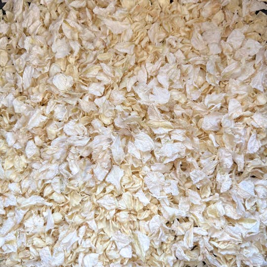 Ivory and Off White Dried Flower Petal Mix for wholesale by Bubble and Berry Ltd.