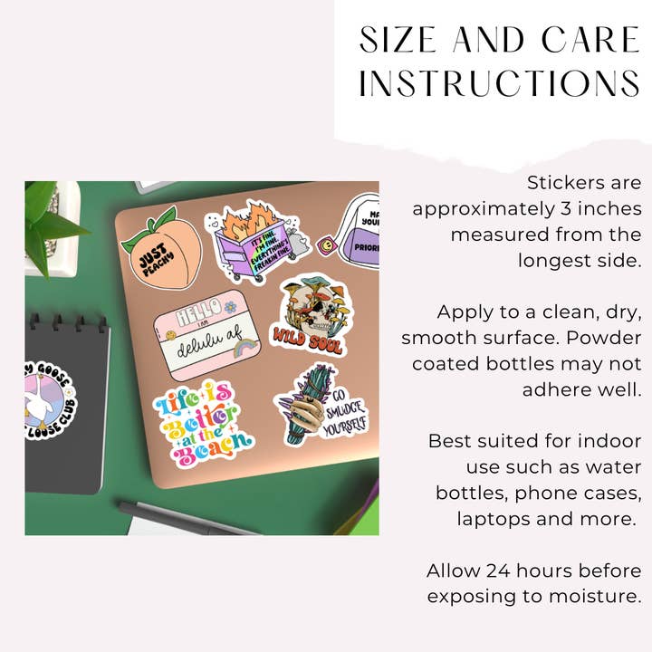 Moonlit Creations - Wholesale Sticker - Thrift Store Girlie Sticker Cute Retro Thrifting Gift2