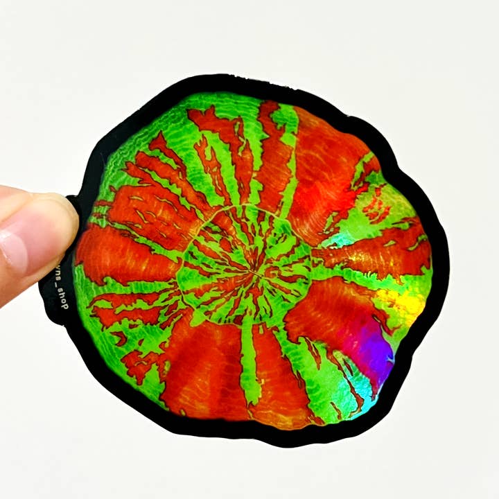 Autocollant Bleeding Apple Scoly | Récif corallien, poissons, aquarium pour la vente par Reef of Clowns