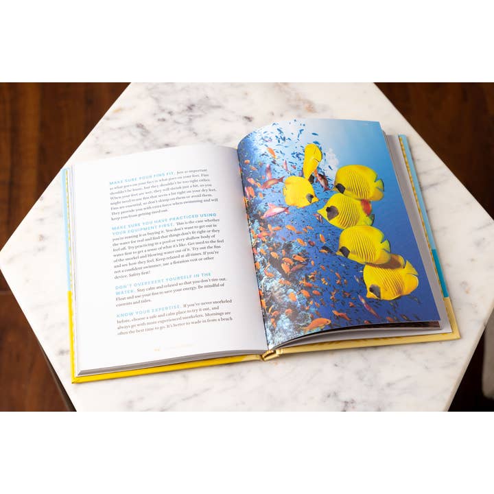 HarperCollins Focus - Wholesale Travel - How to Beach: The Professional Beachgoer's Guidebook3