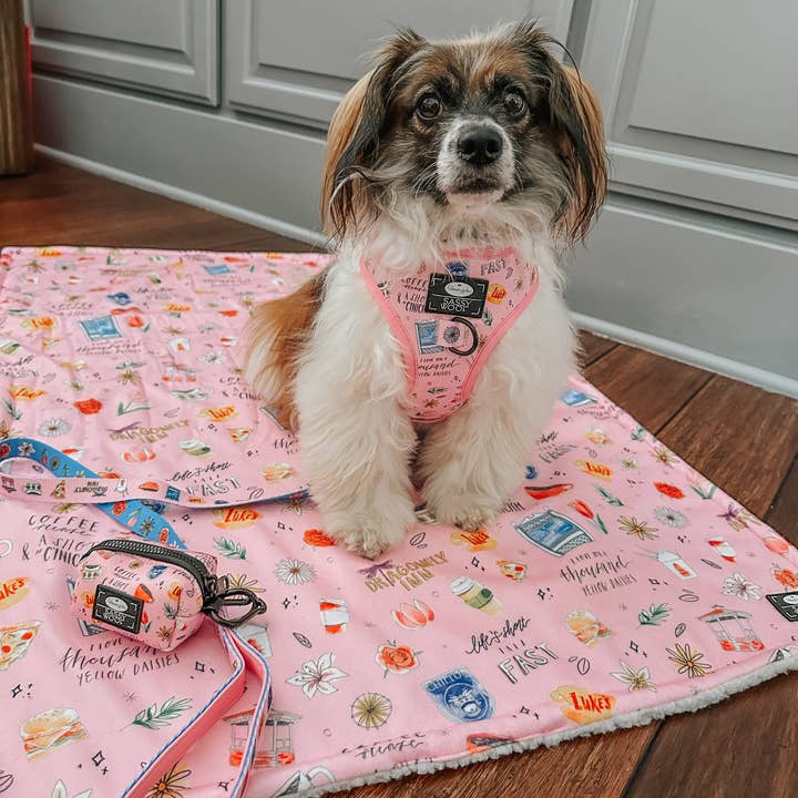 SASSY WOOF - Wholesale Pet Blanket - Cat/Dog - Pet Blanket - Gilmore Girls™4