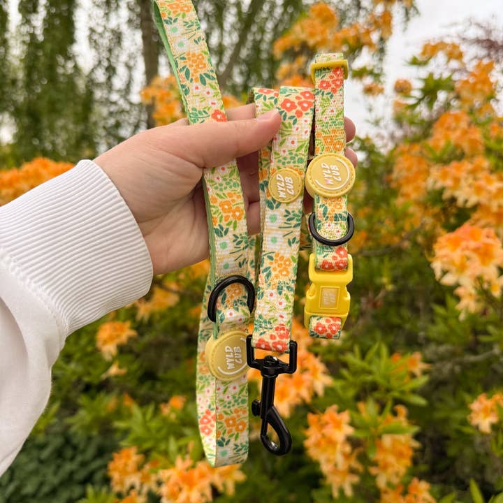 WYLD CUB – wholesale Pet leash – Dog – Dog Lead: Notting Hill Lemongrass12