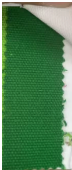 Runway Athletics – Großhandel Tragetasche – Damen – Canvas-Tragetasche mit goldener Schnalle - Grün1