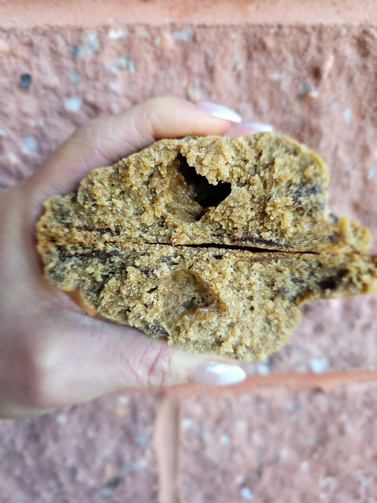 My Big Fat Cookie – wholesale Biscuit – Espresso Chip 1