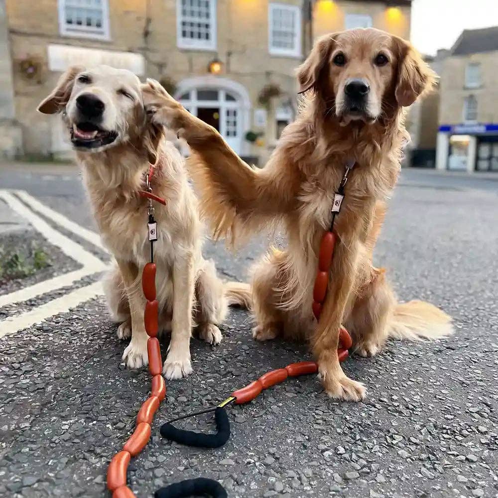 4DOGGO - Wholesale Pet Leash - Dog - The "Hotdog" - Sausage Dog Lead10