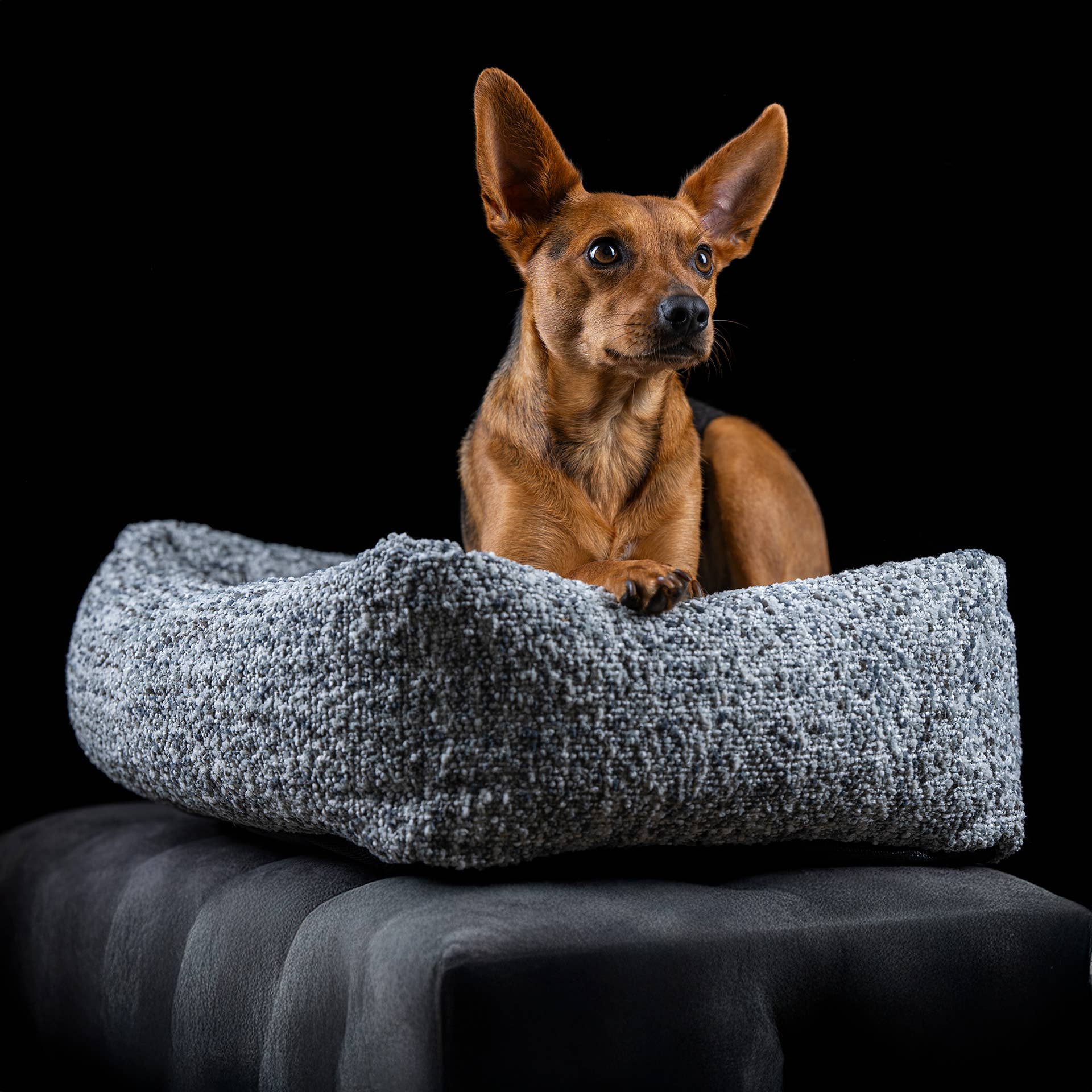 LABONI - Volentis GmbH - Wholesale Pet Bed - Cat/Dog - ORTHO PET BED SIENA16