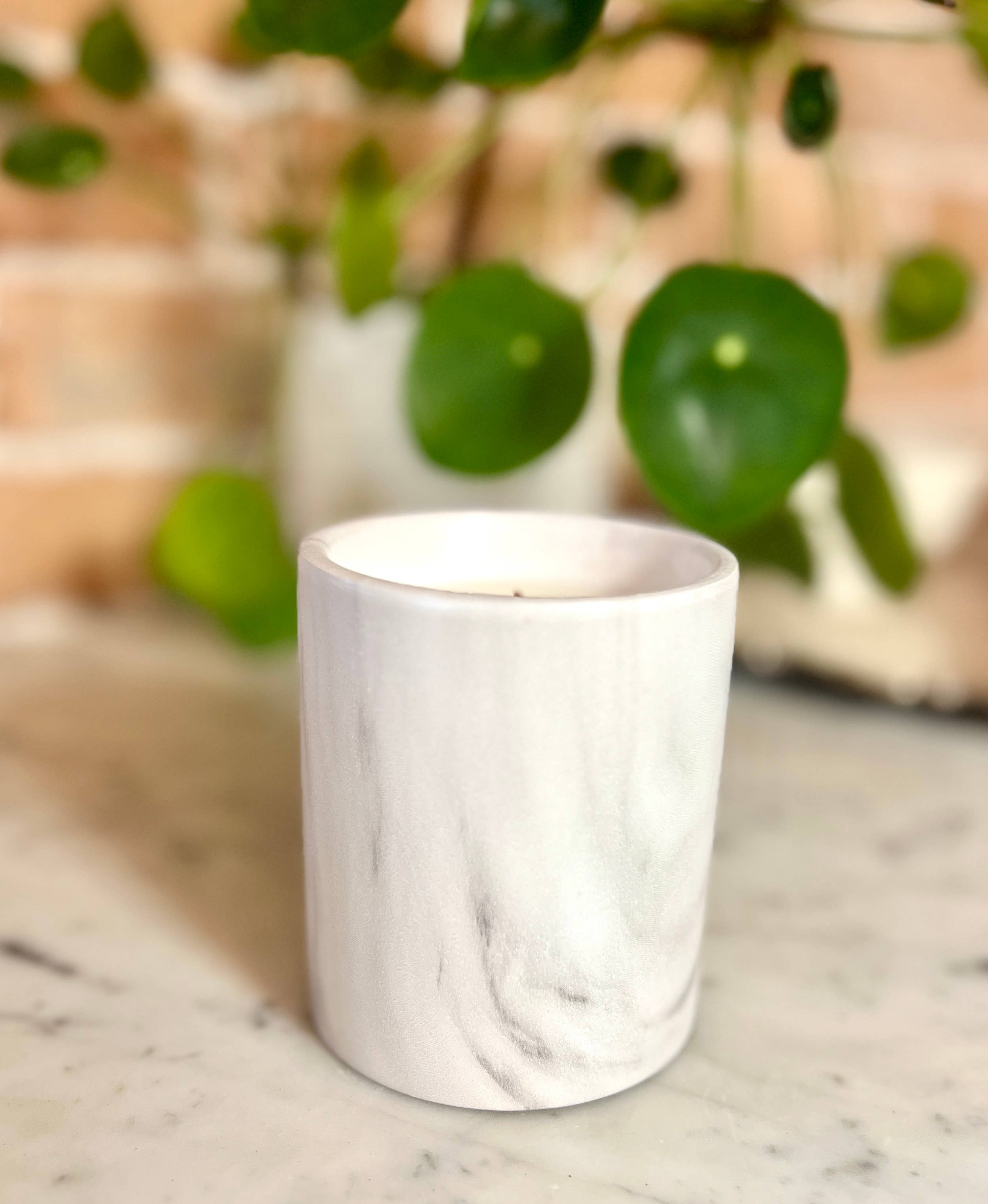 The Sacred Wild Candle Co - Wholesale Jar/Filled Candle - Biophilia: White Marble + Pure Fresh Air Scented Candle13