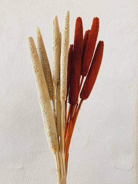 Uma Cantik - Wholesale Dried/Pressed Flowers - Babala Orange Dried Flowers3