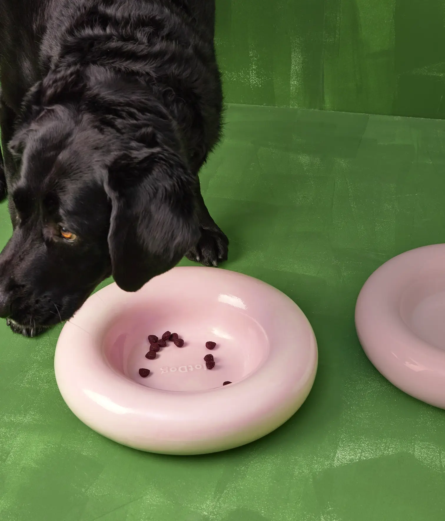 HotDog Pets - Wholesale Pet Bowl - Cat/Dog - Pink ceramic dog feeder12