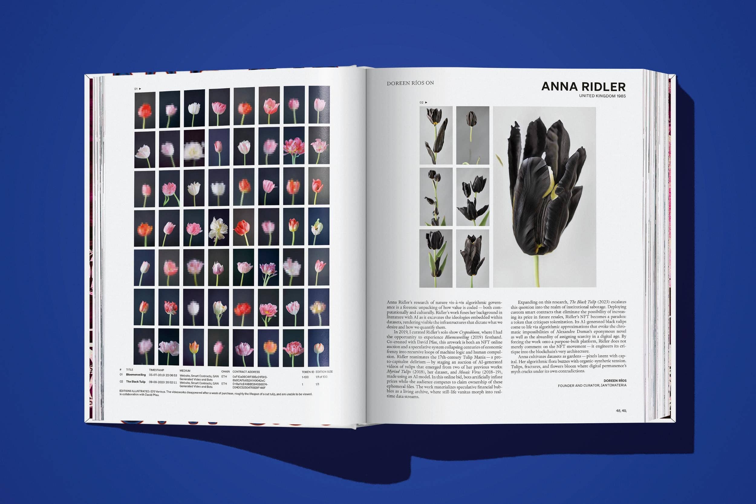 TASCHEN Europe - Wholesale Arts & Entertainment Book - On NFTs (English)4