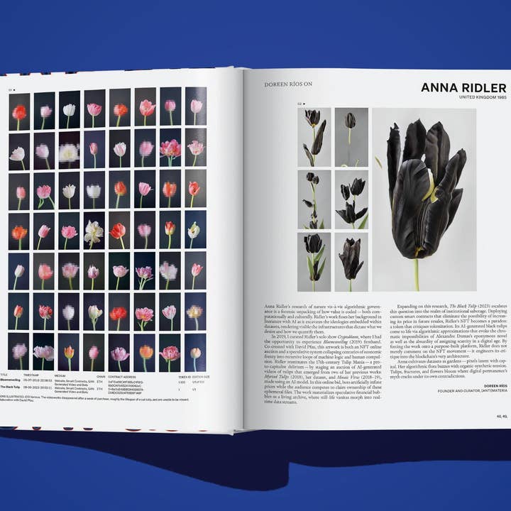 TASCHEN Europe - Wholesale Arts & Entertainment Book - On NFTs (English)4