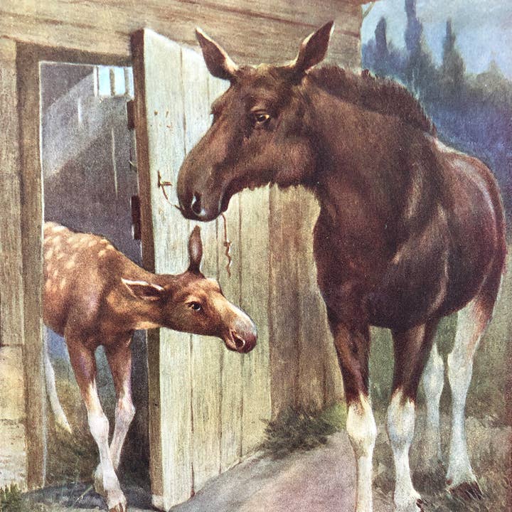 Moose for wholesale by Mandala Baby