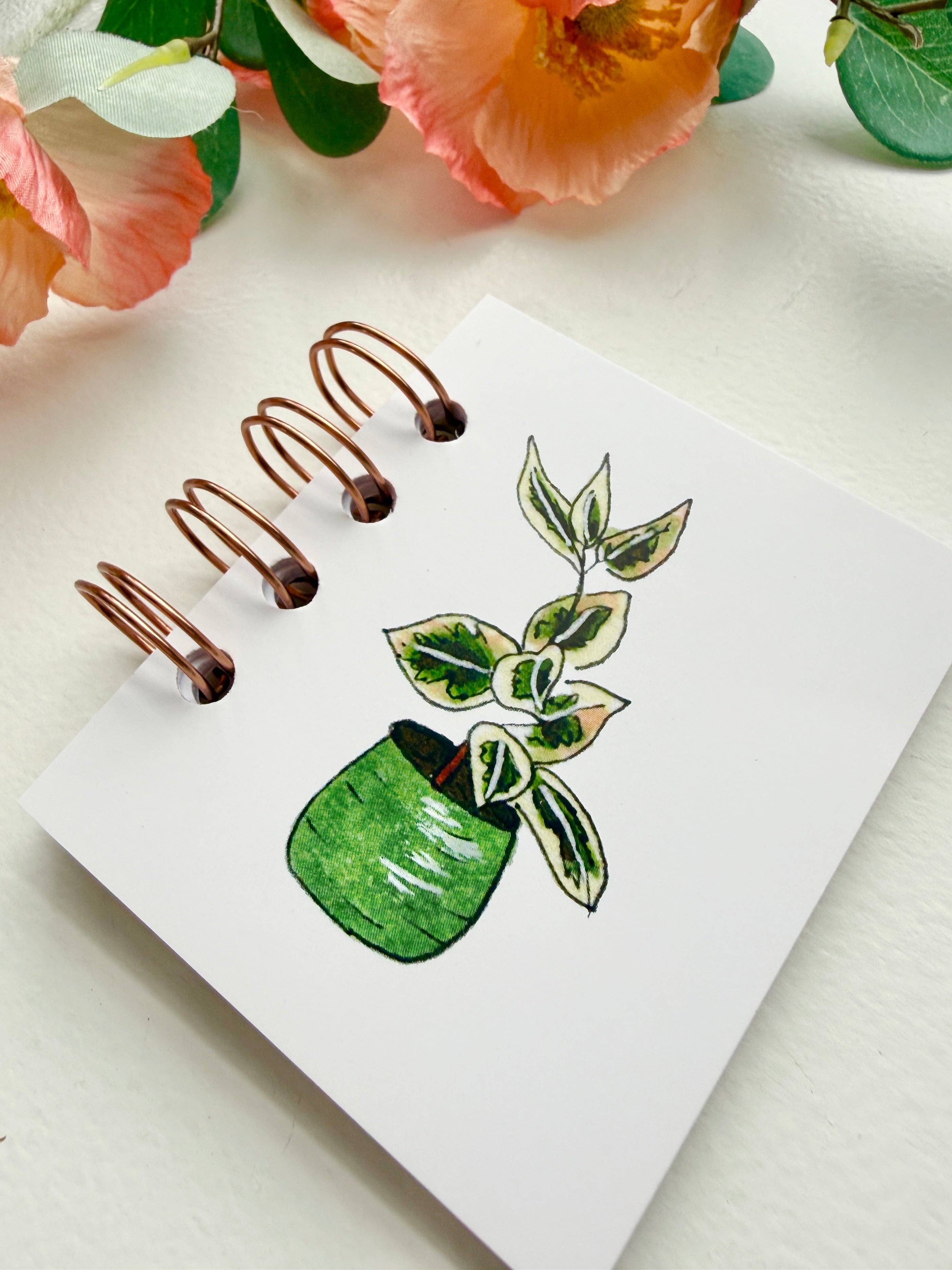 D. Prince Designs - Wholesale Notebook - Hand-Illustrated + Handmade Mini Notebook/Sketchbook | Ficus Houseplant1