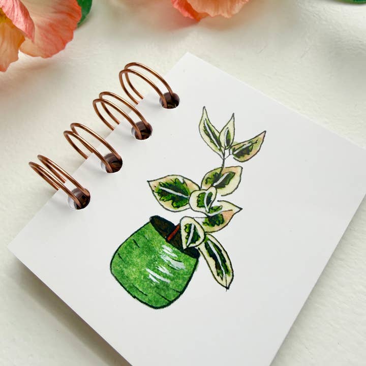 D. Prince Designs - Wholesale Notebook - Hand-Illustrated + Handmade Mini Notebook/Sketchbook | Ficus Houseplant1