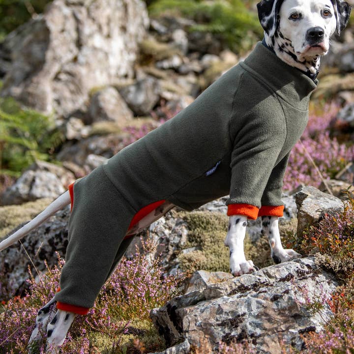 Dog Fleece Winter Suits with 4 Legs for wholesale by Doghouse