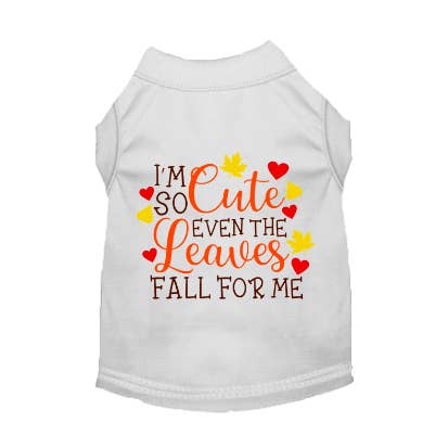 Löv faller för mig för wholesale av Bark Fifth Avenue