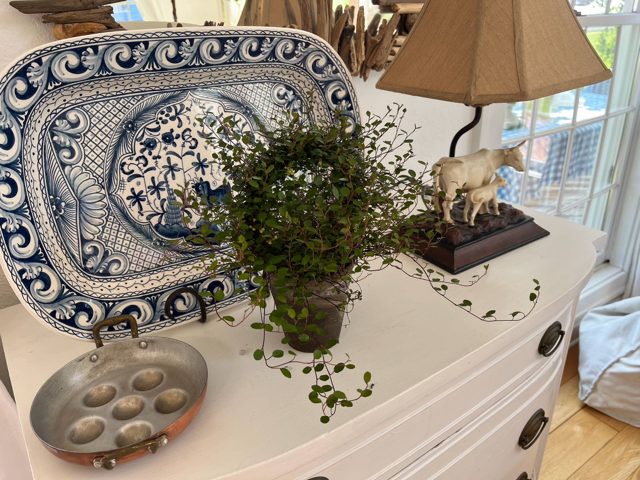 Sunrise Topiaries - Wholesale Live Plant - Live 5 inch woven Angel Vine Ring in 4 inch pot2