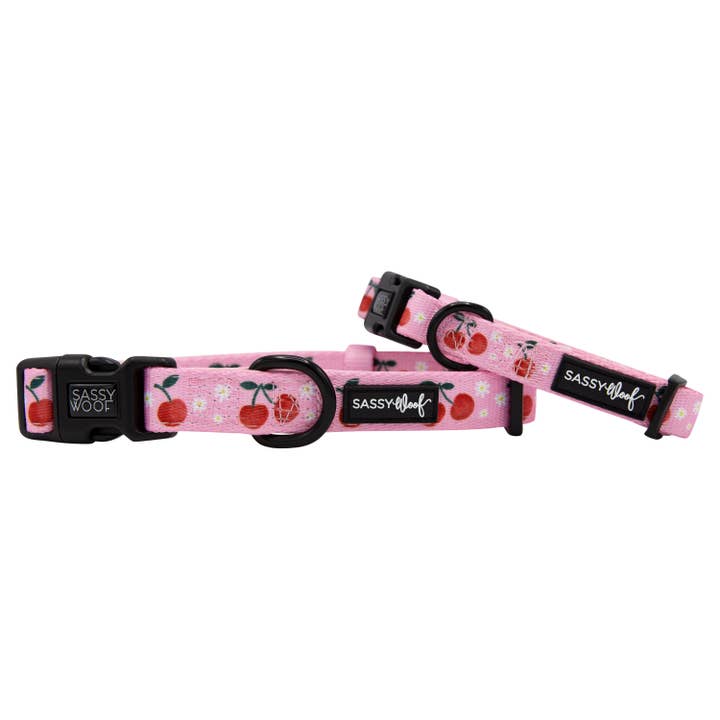 SASSY WOOF - Wholesale Pet Collar - Dog - Dog Collar - Mon Cherry (Fruits)