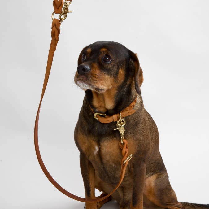 Nordog - Wholesale Pet Collar - Dog - HUGO Braided Dog Collar Cognac1