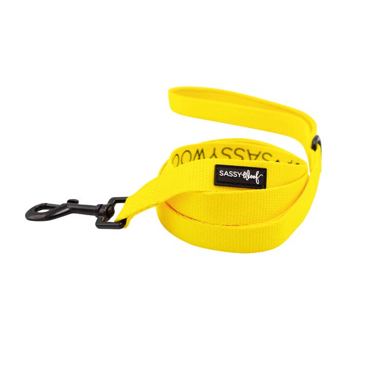Dog Leash - Neon Yellow for wholesale by SASSY WOOF