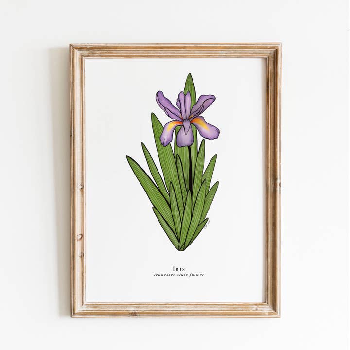 Tennessee State Flower Print | Iris Flower Print for wholesale by Erika Layne Art
