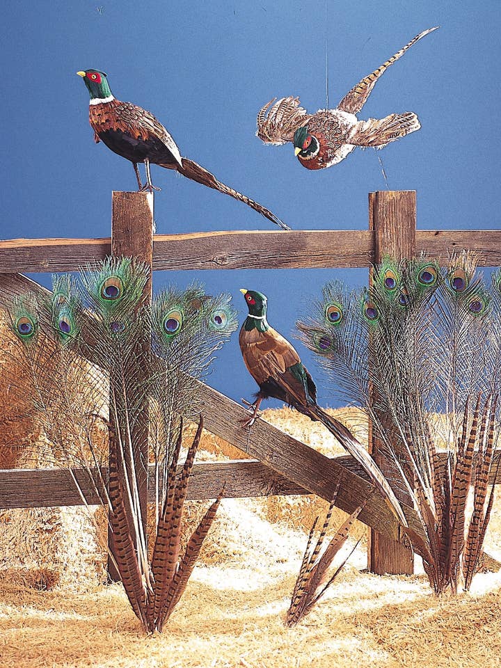 FAISÃO NOVO EM PÉ - 30" BR por atacado de Studio Specialties