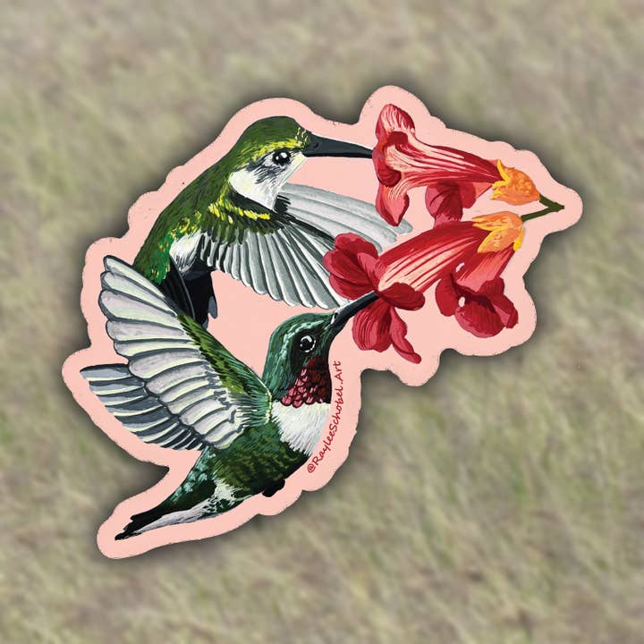 Hummingbird Matte Sticker for wholesale by Raylee Schobel