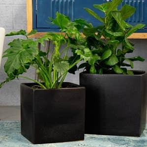 Olive Tree Planter, Steel Black, 14.0"X14.0", 12.0"X12.0" for wholesale by Pacific Home & Garden