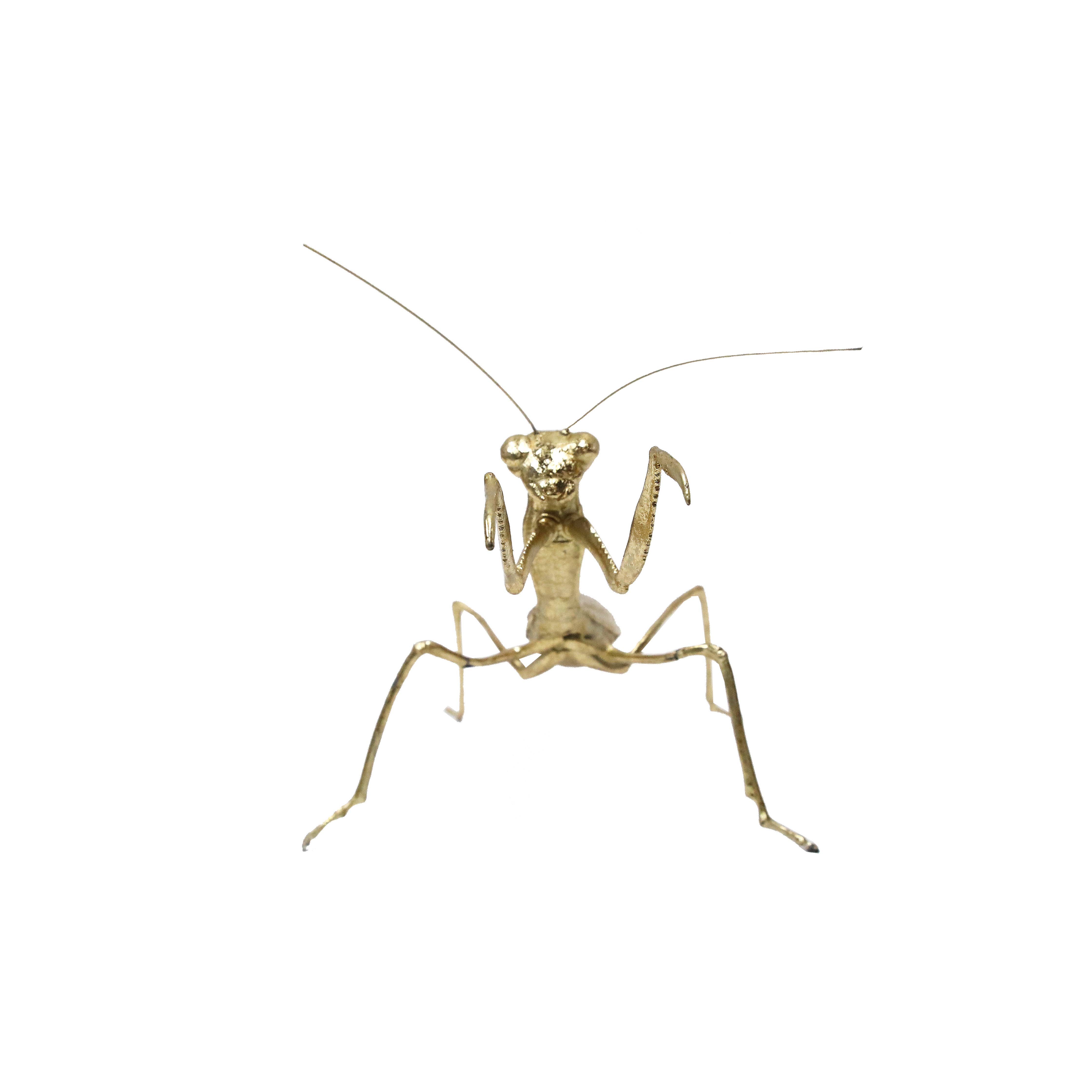 Modern World by Contrast Inc. - Wholesale Decoratief beeldje - Gouden Biddende Mantis2