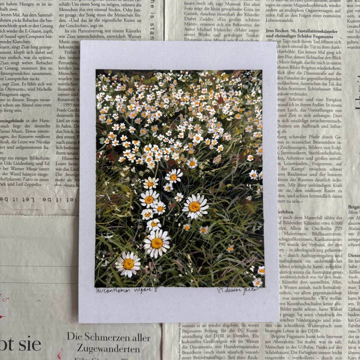 Leucanthemum vulgare V print voor wholesale door denaisx