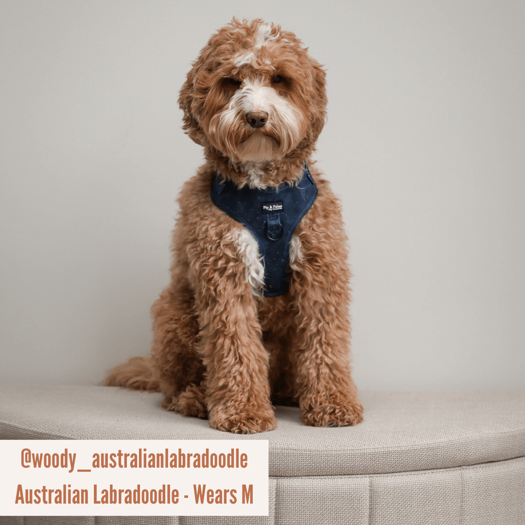 Pip and Palms - Wholesale Pet Harness - Dog - Dog Harness Over the Moon7